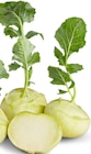 Penny - Deutscher Kohlrabi Angebot im Prospekt Deutscher Kohlrabi bei Penny im Prospekt "" für 0,59 €