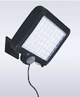 Solarlampe Angebote bei famila Nordwest Oldenburg für 7,99 €