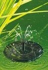 Netto mit dem Scottie Dresden - Solar-Springbrunnen Angebot im Prospekt Solar-Springbrunnen bei Netto mit dem Scottie im Dresden Prospekt für 8,99 €
