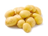 Aktuelle Kartoffeln Angebote bei Netto mit dem Scottie in Dresden Aktuelles Speisefrühkartoffeln Angebot bei Netto mit dem Scottie in Dresden ab 2,22 €