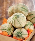 Intermarché La Salvetat-Saint-Gilles - Promo Melon charentais Promo Melon charentais à 1,99 € dans le catalogue Intermarché à La Salvetat-Saint-Gilles