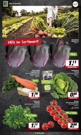 Gemüse im EDEKA Prospekt in Hamm Aktueller EDEKA Prospekt mit Gemüse, "Aktuelle Angebote", Seite 5
