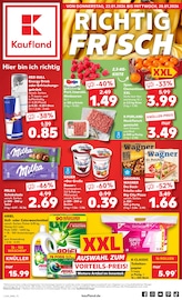 Kaufland Supermarkt Prospekt der aktuellen Woche mit 59 Seiten, gültig von 22.01.2026 bis 28.01.2026, in Sinsheim und Umgebung Aktueller Kaufland Supermarkt Prospekt in Sinsheim und Umgebung, "Aktuelle Angebote" mit 59 Seiten, 22.01.2026 - 28.01.2026
