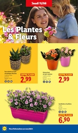 Prospectus Lidl "L'ÉTÉ IMBATTABLE" en cours à Châlons-en-Champagne, Page 28 Catalogue Lidl en cours à Châlons-en-Champagne, "L'ÉTÉ IMBATTABLE", Page 28