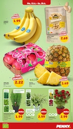 Bananen Angebot & Preis im aktuellen Penny Prospekt Bananen Angebot im aktuellen Penny Prospekt auf Seite 5