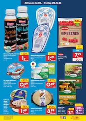 Quark im Netto Marken-Discount Prospekt in Cottbus Aktueller Netto Marken-Discount Prospekt mit Quark, "Aktuelle Angebote", Seite 53