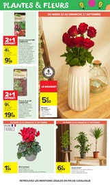 Promos Terreau dans le catalogue "LE MOIS MONOPOLY" de Carrefour Market Terreau en promo dans le catalogue Carrefour Market à la page 65
