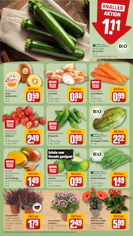 Gemüse im REWE Prospekt "Dein Markt" mit 34 Seiten (Cottbus)