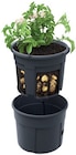 Aktuelle Blumentopf Angebote bei Penny in Krefeld Aktuelles Kartoffelpflanztopf Angebot bei Penny in Krefeld ab 8,99 €