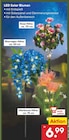 Aktuelle Blumen Angebote bei Netto Marken-Discount in Bottrop Aktuelles LED Solar Blumen Angebot bei Netto Marken-Discount in Bottrop ab 6,99 €