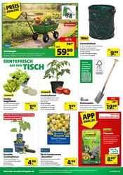 Schubkarre im Hagebaumarkt Prospekt in Neumünster Aktueller Hagebaumarkt Prospekt mit Schubkarre, "So günstig geht das!", Seite 4