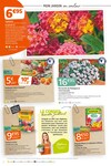 Plantes Plantes