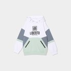 Sweat à capuche hoodie Liberto vert pastel garçon - La Halle Sweat à capuche hoodie Liberto vert pastel garçon à 19,99 € dans le catalogue La Halle