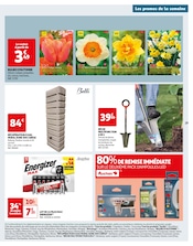 Plante Verte Angebote im Prospekt "Chaque semaine, plus de 3000 offres en magasin" von Auchan Hypermarché auf Seite 29