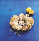 Huitres Speciales de Normandie IGP - U SAVEURS - Bi1 à Chalon-sur-Saône Huitres Speciales de Normandie IGP - U SAVEURS en promo chez Bi1 Chalon-sur-Saône à 11,50 €