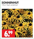 Sonnenhut Angebote bei Wreesmann Freiberg für 6,99 €
