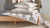 Aktuelles Ganzjahresbett Angebot bei Möbelzentrum Pforzheim in Pforzheim ab 59,99 €