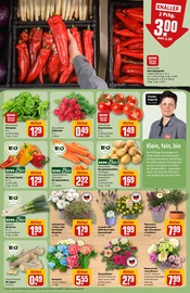 Aktueller REWE Prospekt mit Lavendel, "Dein Markt", Seite 9