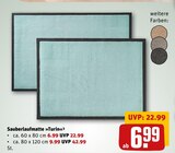Sauberlaufmatte Turin Angebote bei REWE Potsdam für 6,99 €