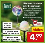 LED Solar Lichtblüte oder Dekostecker Angebote bei Netto Marken-Discount Trier für 4,99 €