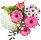 Aktuelles Alles Liebe Angebot bei Netto Marken-Discount in Magdeburg ab 5,99 €
