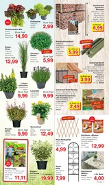 Aktueller Jawoll Prospekt mit Terrassendielen, "Sonderposten-Märkte", Seite 7