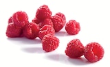 Supermarchés Match Fournes-en-Weppes - Promo Framboise Promo Framboise à 2,59 € dans le catalogue Supermarchés Match à Fournes-en-Weppes