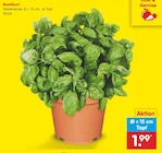 Basilikum für 1,99 € bei Netto Marken-Discount im Angebot Basilikum im aktuellen Netto Marken-Discount Prospekt
