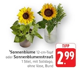 Angebot im EDEKA Bad Vilbel Prospekt EDEKA Bad Vilbel Prospekt mit im Angebot für 2,99 €