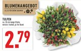 Aktuelles Tulpen Angebot bei Marktkauf in Dortmund ab 2,79 €