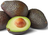 Avocado angereift im aktuellen Penny Prospekt