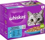 Katzennassfutter bei GLOBUS im Grünstadt Prospekt für 3,99 €