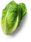 Kaufland Linum - Dtsch. Mini-Romana Angebot im Prospekt Dtsch. Mini-Romana bei Kaufland im Linum Prospekt für 0,69 €