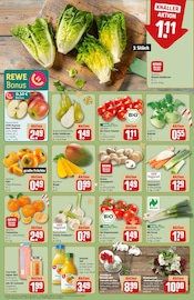 Tierfutter im REWE Prospekt in Unna Aktueller REWE Prospekt mit Tierfutter, "Dein Markt", Seite 6