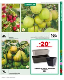 Offre Framboisier dans le catalogue Carrefour Market du moment à la page 7