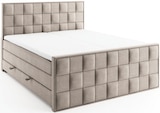 Aktuelles Boxspringbett Angebot bei ROLLER in Hannover ab 899,99 €