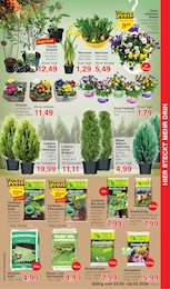 Hochbeet Angebot & Preis im aktuellen Jawoll Prospekt Hochbeet Angebot im aktuellen Jawoll Prospekt auf Seite 5