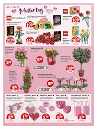 Narzissen Angebot & Preis im aktuellen V-Markt Prospekt Narzissen Angebot im aktuellen V-Markt Prospekt auf Seite 14