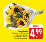 Sonnenblumen im aktuellen EDEKA Prospekt