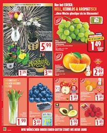 Bäume Angebot im aktuellen EDEKA Prospekt auf Seite 2