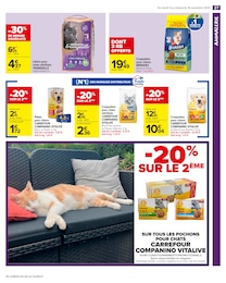 Prix et réduction Croquettes Chien dans le prospectus Carrefour Market en cours Offre Croquettes Chien dans le catalogue Carrefour Market du moment à la page 29