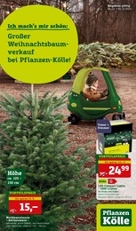 Dekoration Angebot & Preis im aktuellen Pflanzen Kölle Prospekt Dekoration Angebot im aktuellen Pflanzen Kölle Prospekt auf Seite 1