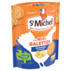 Mini Galettes - ST MICHEL en promo chez Carrefour Nantes à 1,29 €