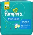 Feuchttücher Fresh Clean Angebote von Pampers bei Kaufland Bautzen für 4,44 €