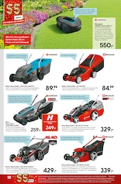 Aktueller Hellweg Prospekt mit Akku Rasenmäher, "Jubiläums-angebote", Seite 10