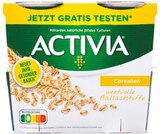 Activia Joghurt 4er-Pack von Danone im aktuellen Netto mit dem Scottie Prospekt für 1,79 €