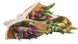 Tulpen Angebote bei EDEKA Stralsund für 4,99 €