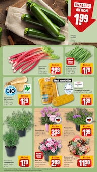 Gemüse im REWE Prospekt "Dein Markt" mit 26 Seiten (Würzburg)