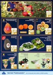 Äpfel im EDEKA Prospekt in Flensburg Aktueller EDEKA Prospekt mit Äpfel, "Top Angebote", Seite 2