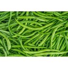 Haricot vert FILIERE QUALITE CARREFOUR en promo chez Carrefour Haricot vert FILIERE QUALITE CARREFOUR dans le catalogue Carrefour